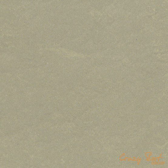 0556 Mud Grey